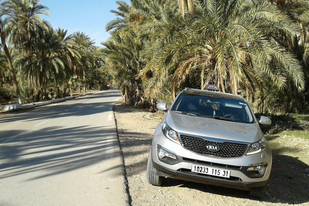 Taxi Limo-奥兰必去景点