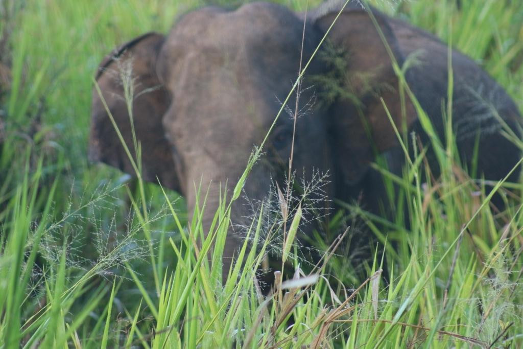 Fernando Adventure Safaries-哈巴拉娜必去景点