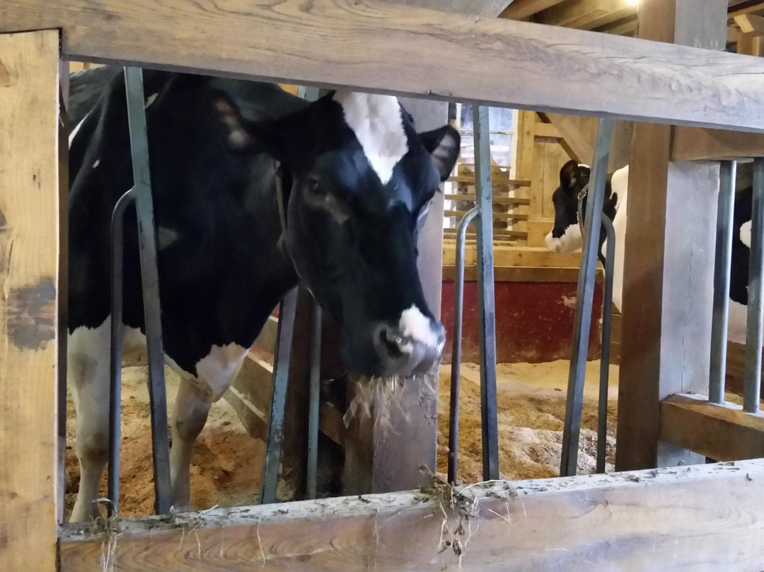 Thorncrest Farm and Milk House Chocolate-Goshen必去景点