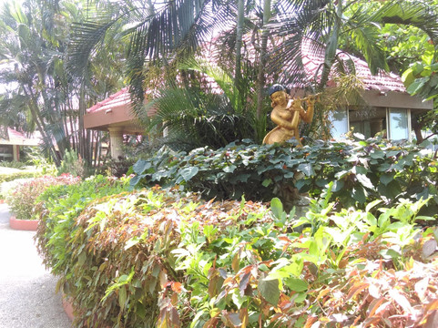 枫树滨海小屋酒店