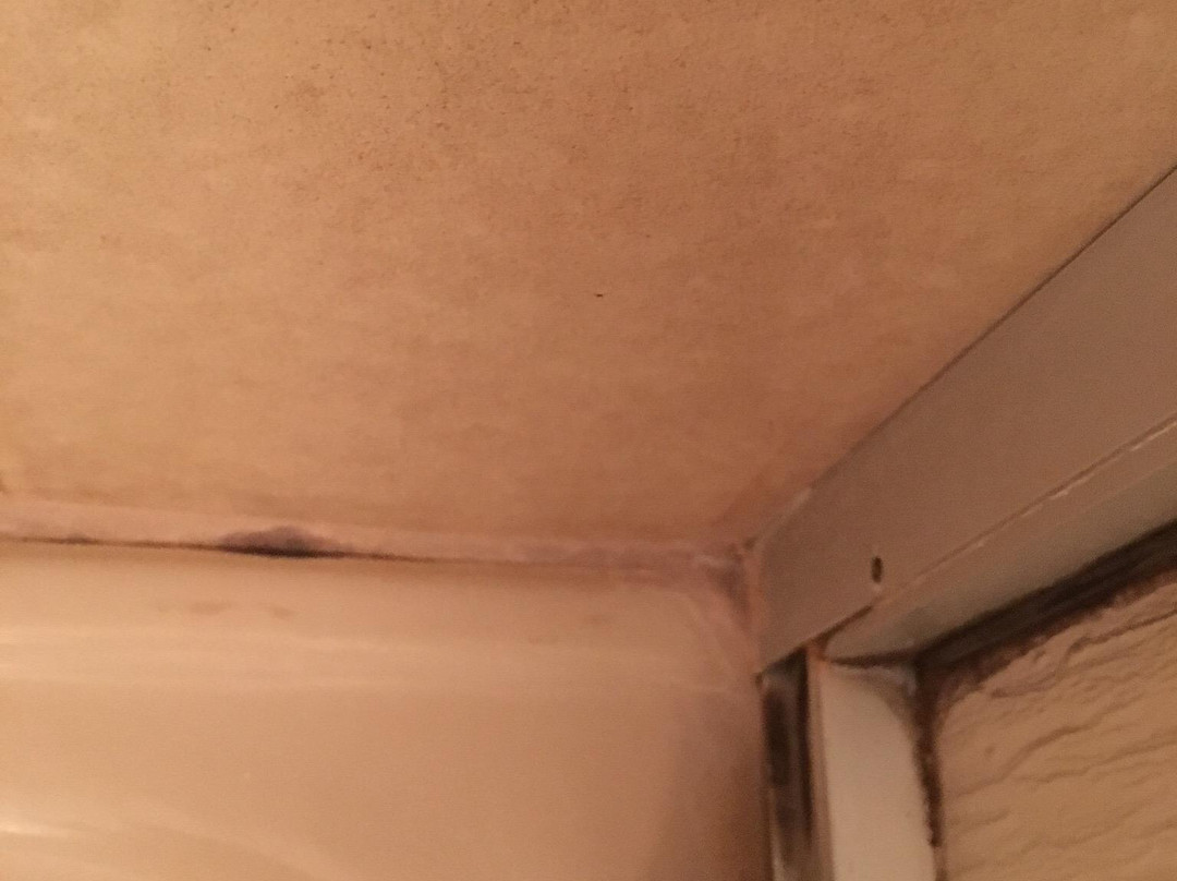 Mainbogen Hotel主图