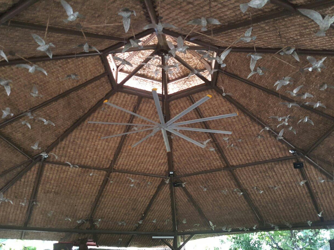 Mary Immaculate Parish - Nature Church-拉斯皮纳斯市必去景点