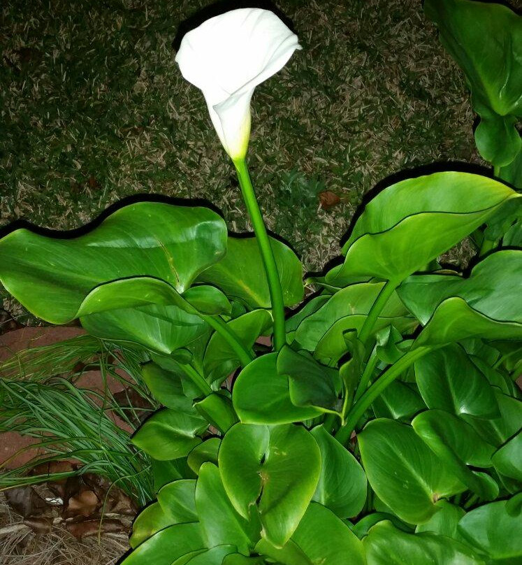 Aunt Ruby's Bed and Breakfast主图