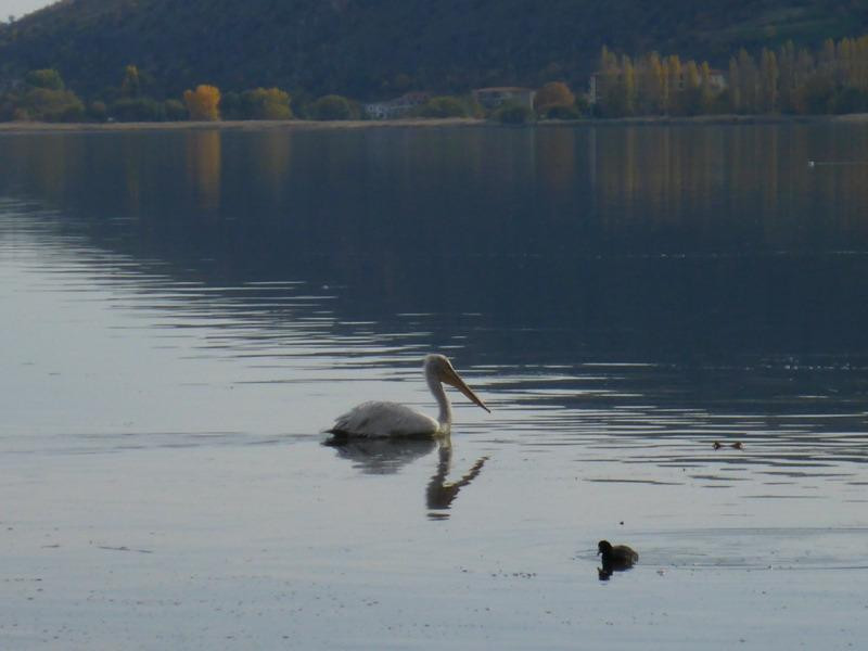 Kastoria Outdoors景点图片