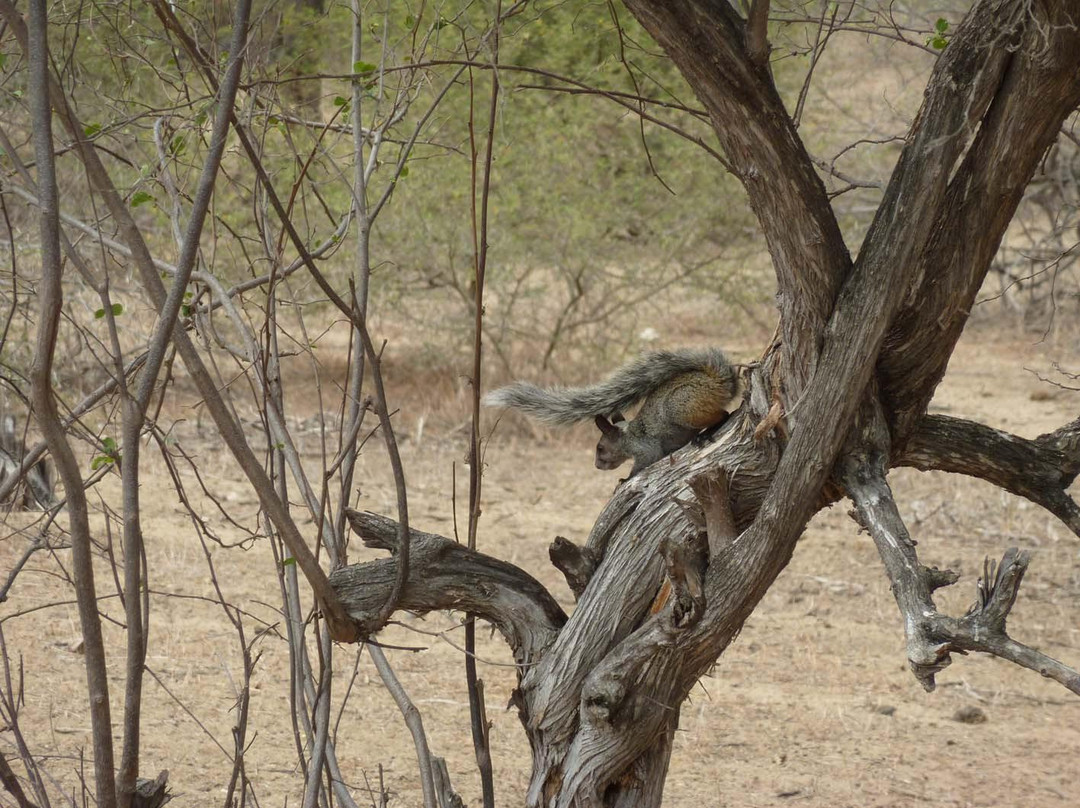 Universidad de Piura-Piura必去景点
