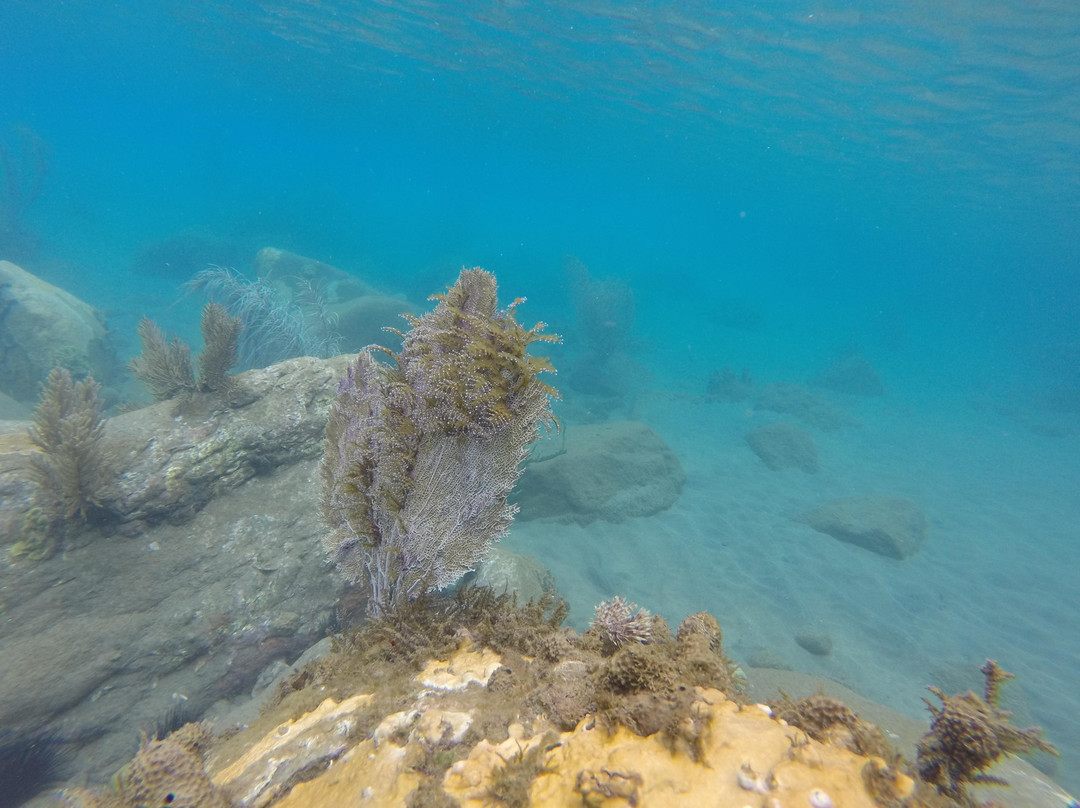 Toucari Beach-Toucari必去景点