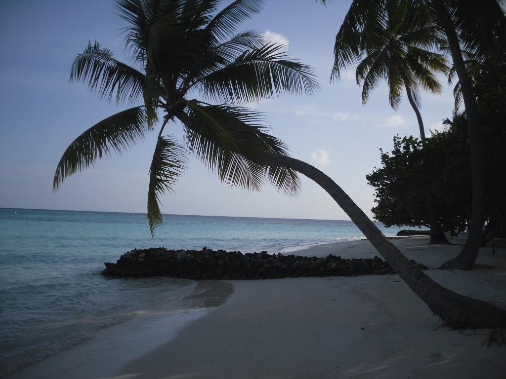 阿沙格岛旅游攻略图片