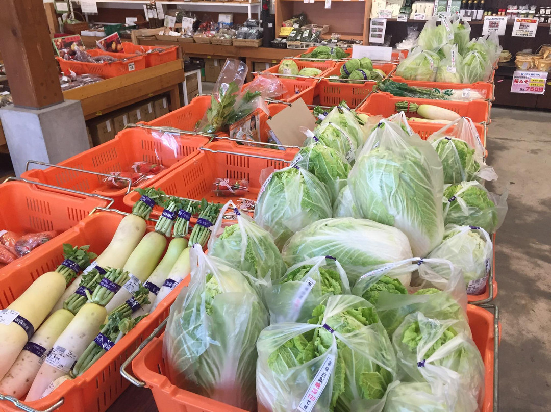 Tajimanokura-养父市必去景点