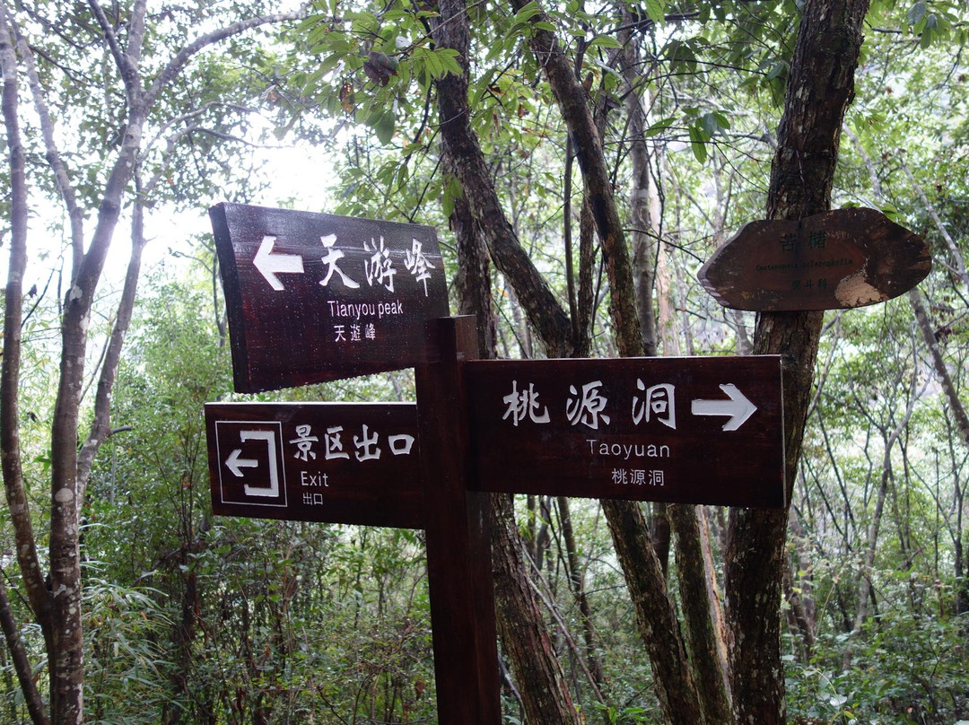 桃源洞道观-南平市必去景点