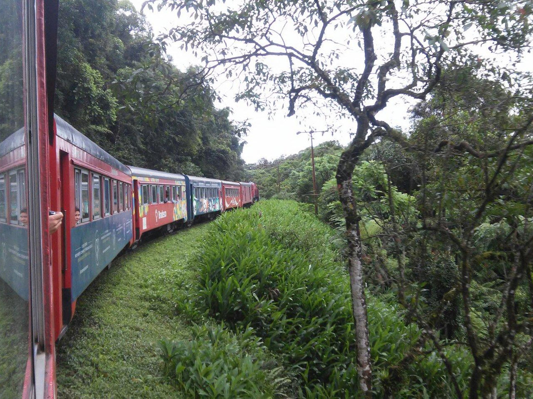 Onetur Turismo-库里提巴必去景点