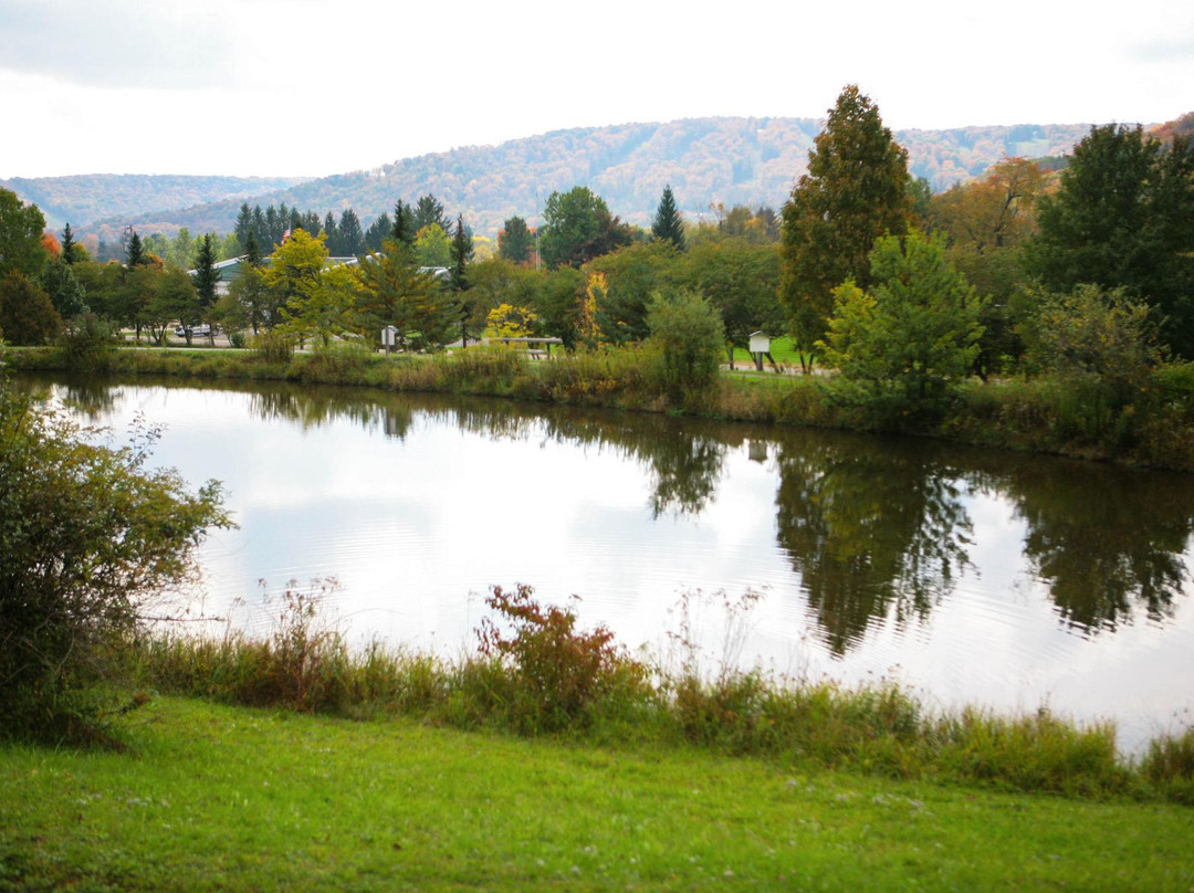 Nannen Arboreum-Ellicottville必去景点