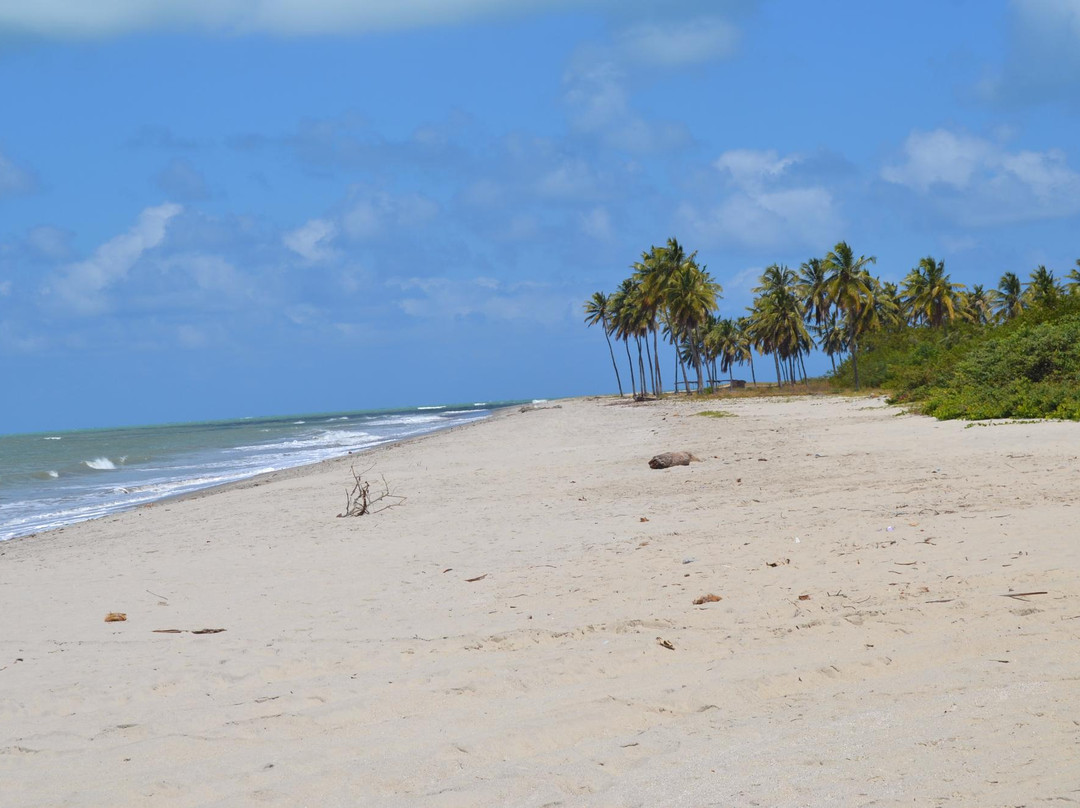 帕拉伊巴州餐馆和美食-Peixada Do Geraldo