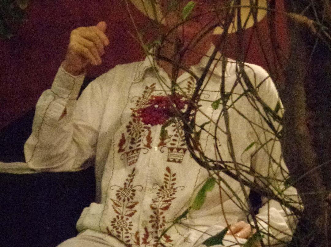 Murder in Mexico Mystery Dinner Theater景点图片