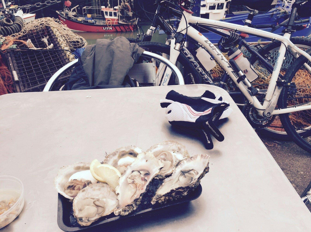 Oyster Bay Trail景点图片
