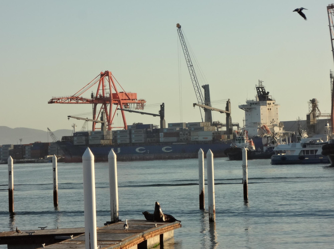 Aduana Maritima景点图片