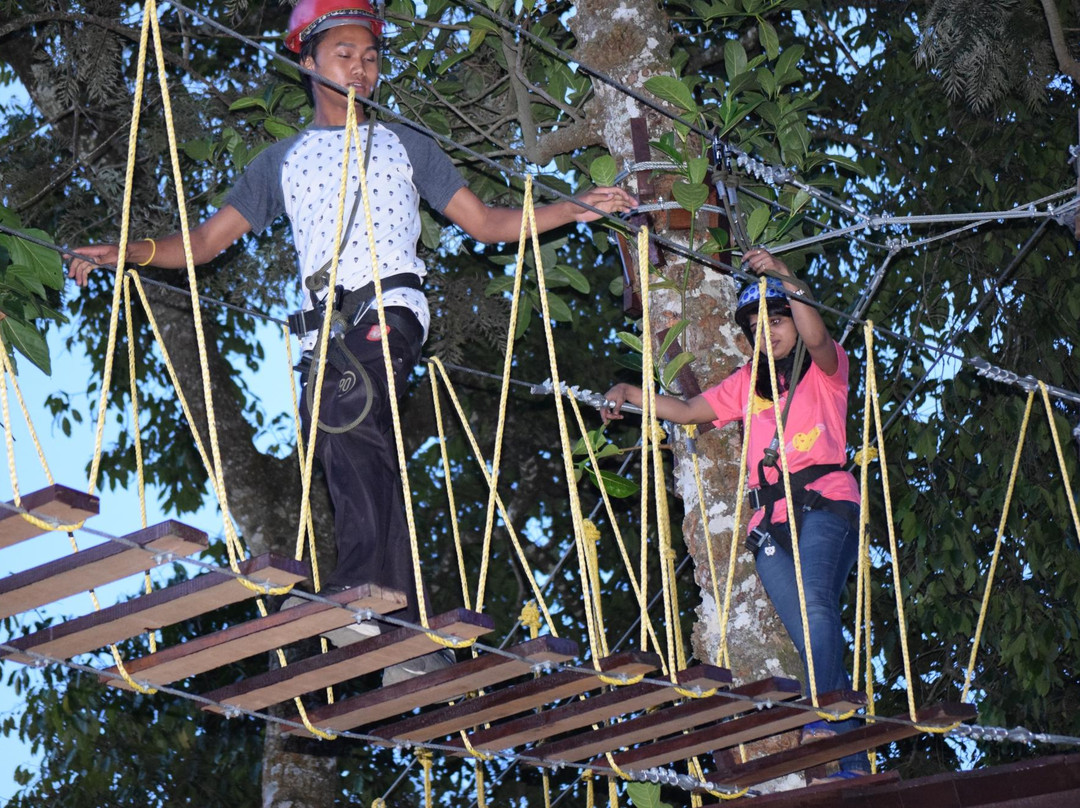 TreeTop Adventure Park景点图片