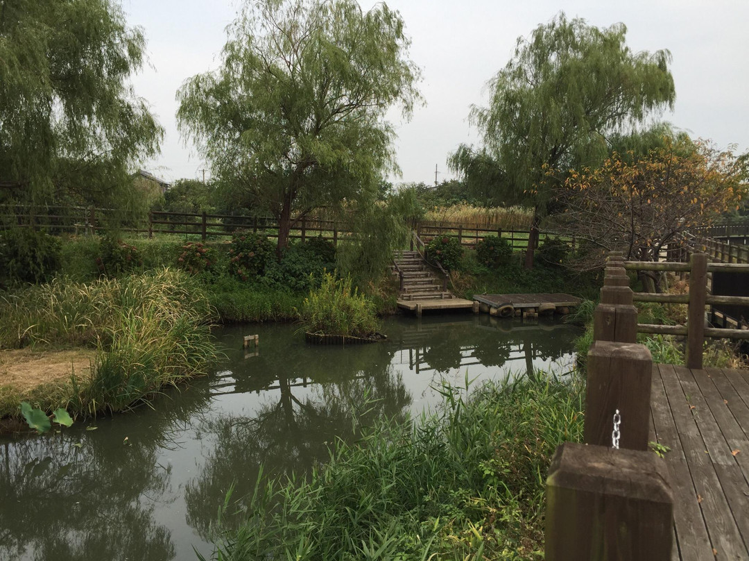 Nagashima Yasuragi Park-桑名市必去景点
