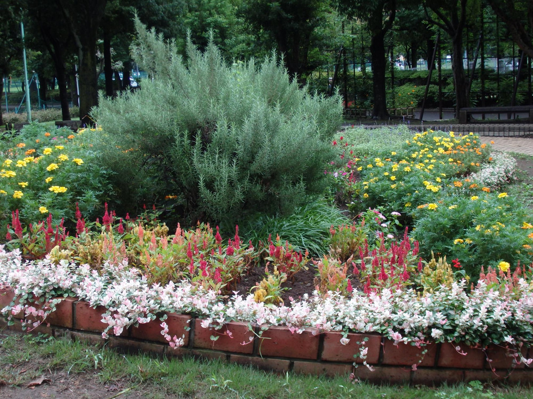 Aobadai Park-朝霞市必去景点