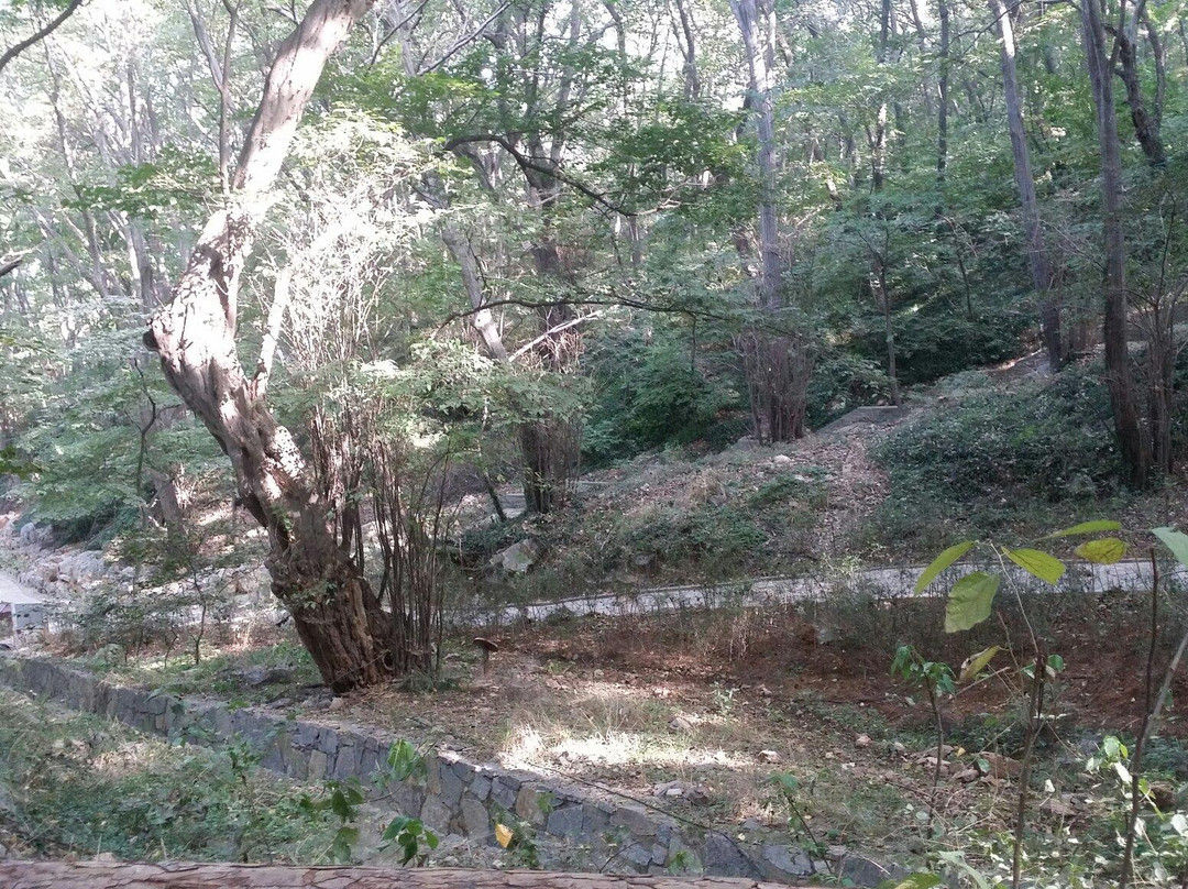 皇藏峪-萧县必去景点