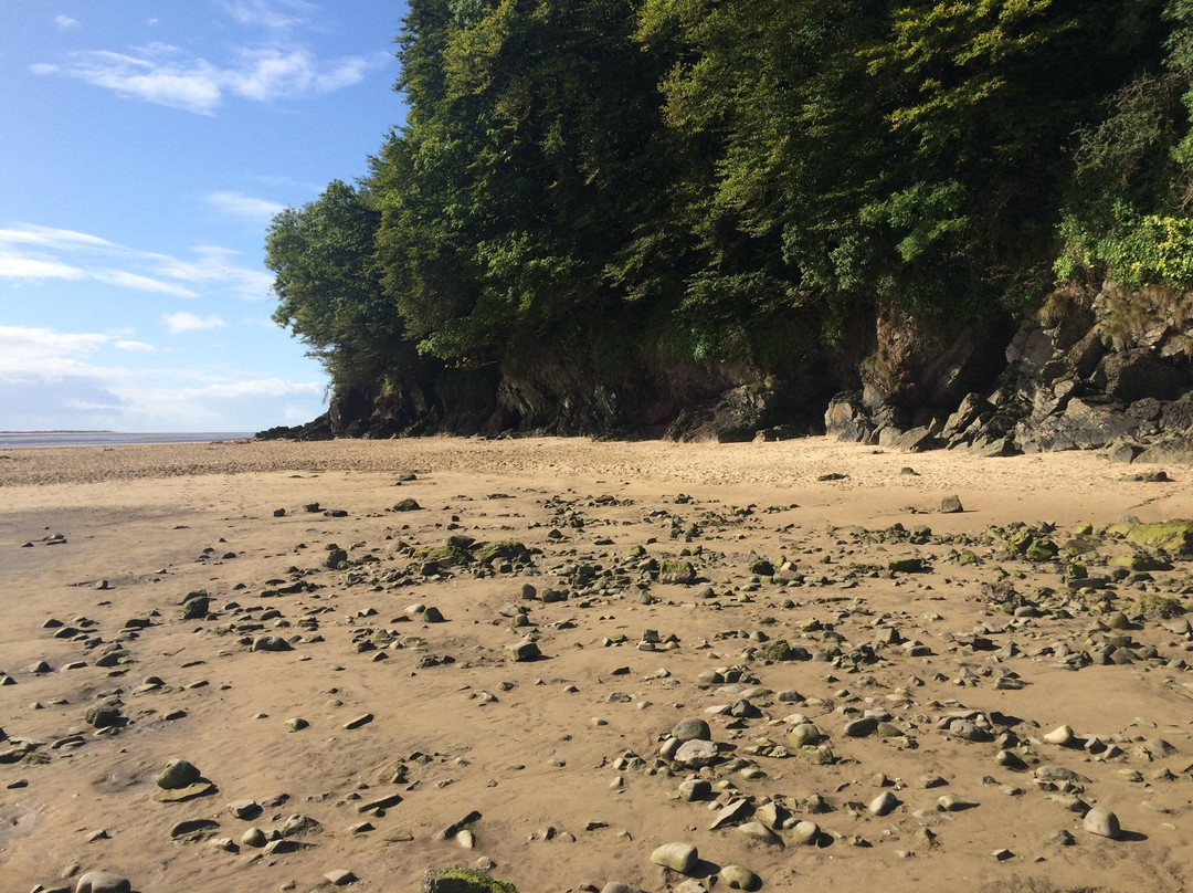 Llansteffan Beach景点图片