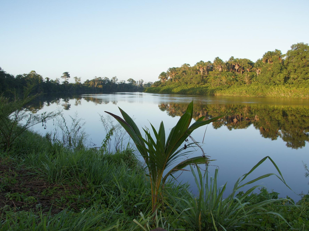 Kourou酒店住宿-L'oiseau de Paradis