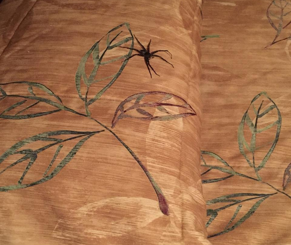 Riverside Motel主图