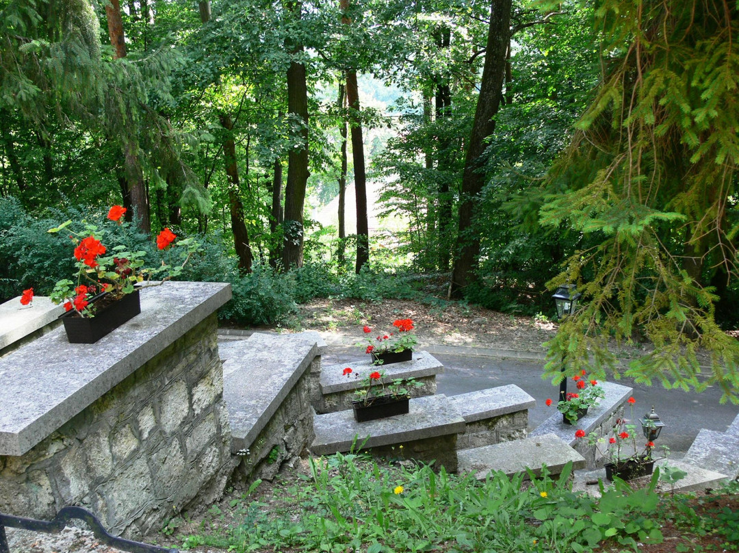 Ezustfenyo Hotel主图