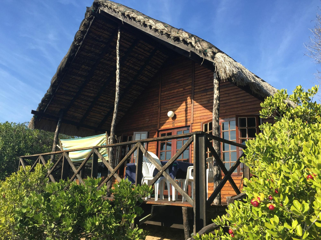 Tofinho旅游攻略图片