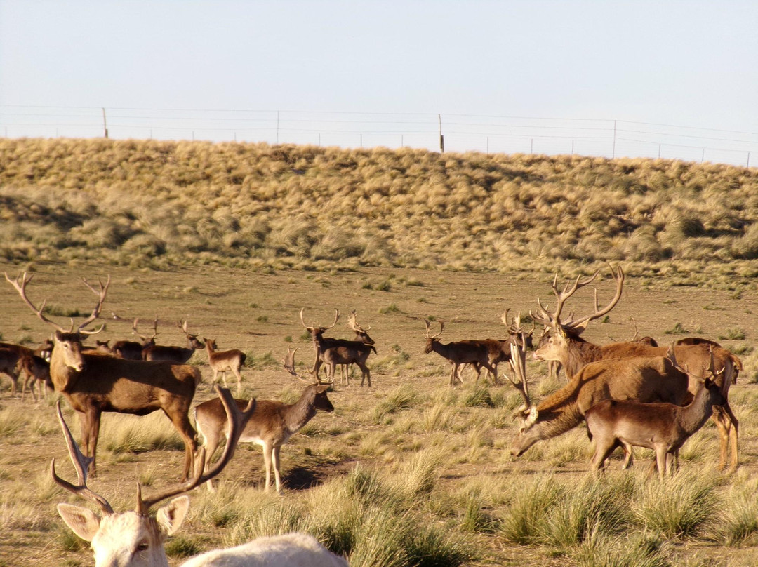 Experiencia Tierra Ventana-本塔纳山脉必去景点
