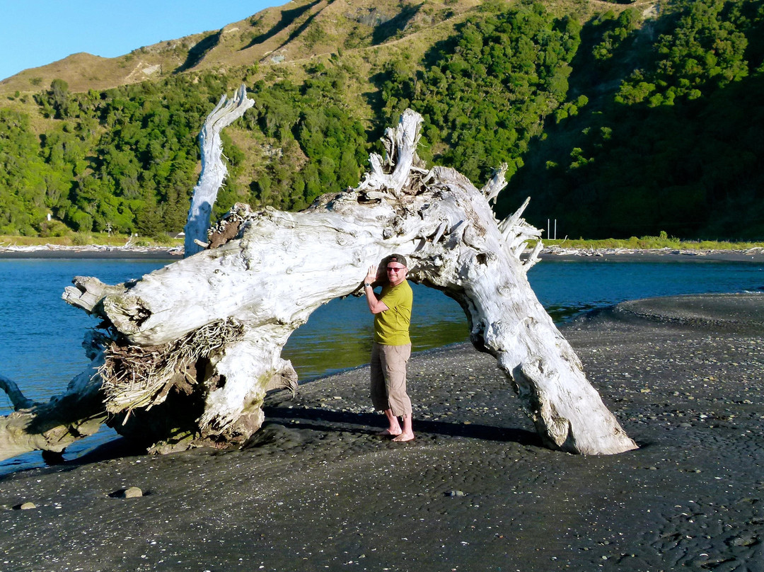 Whitebait Inn