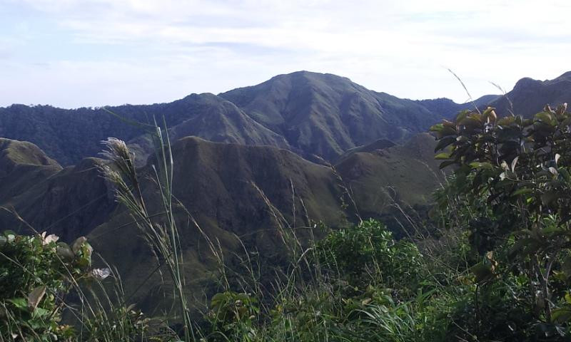 Your Panama Tours景点图片