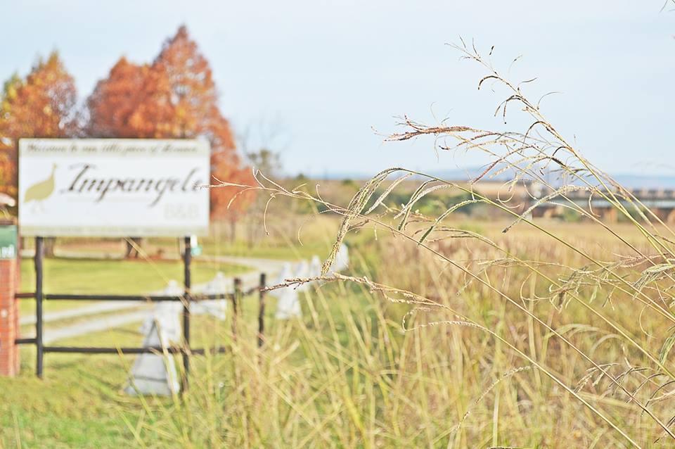 Impangele B&B-官方