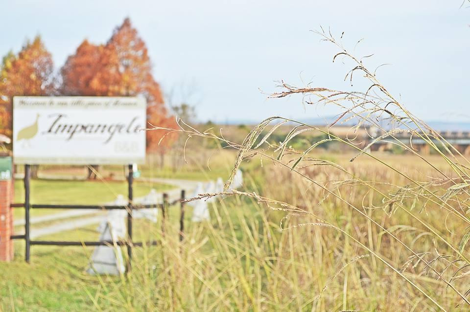 Merrivale酒店住宿-Impangele B&B