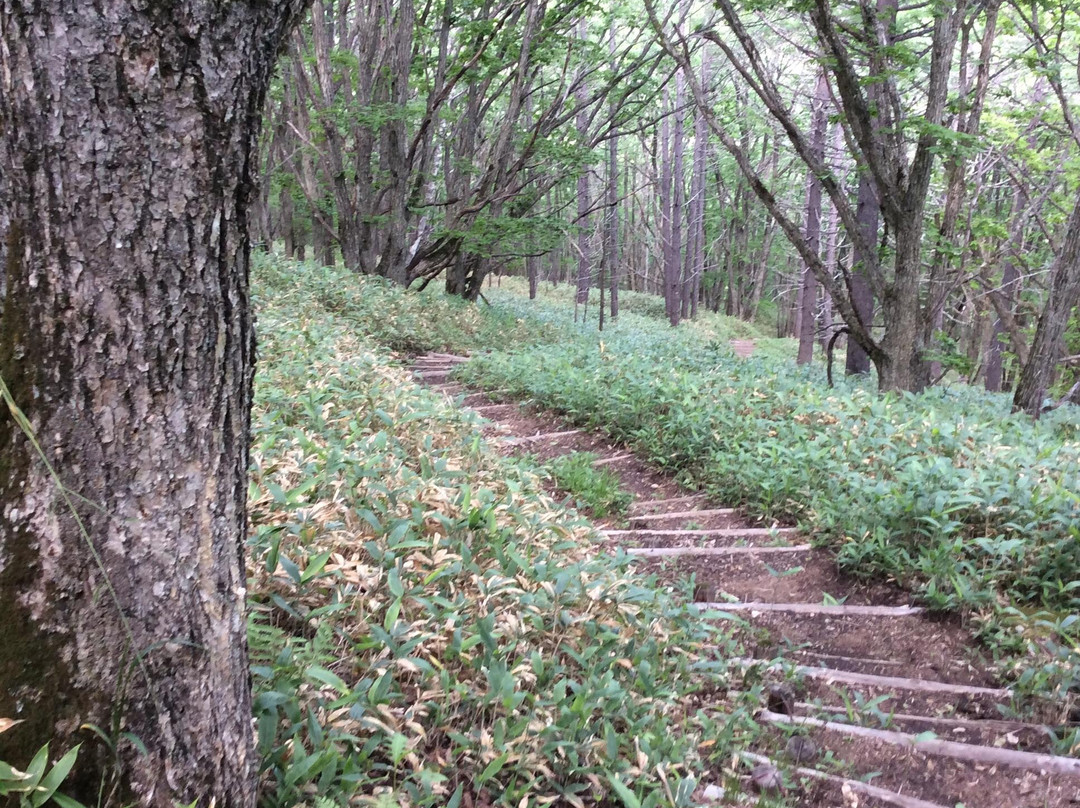 Tateshina Gosensui Nature Park景点图片