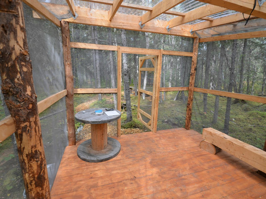 Tulchina Adventures-Port Alsworth必去景点