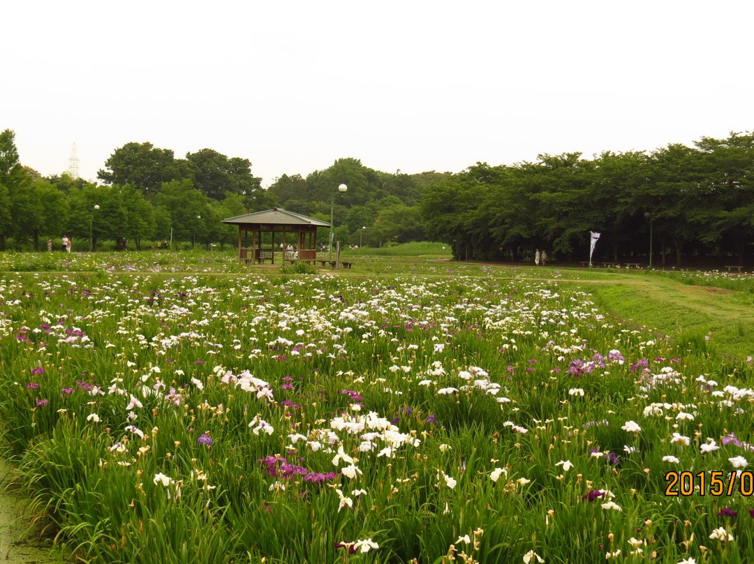 Beppunuma Park景点图片