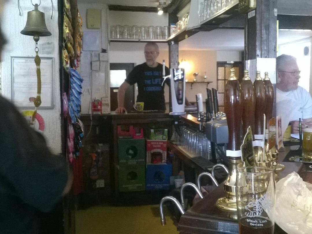 British Lion-迪韦齐斯必去景点