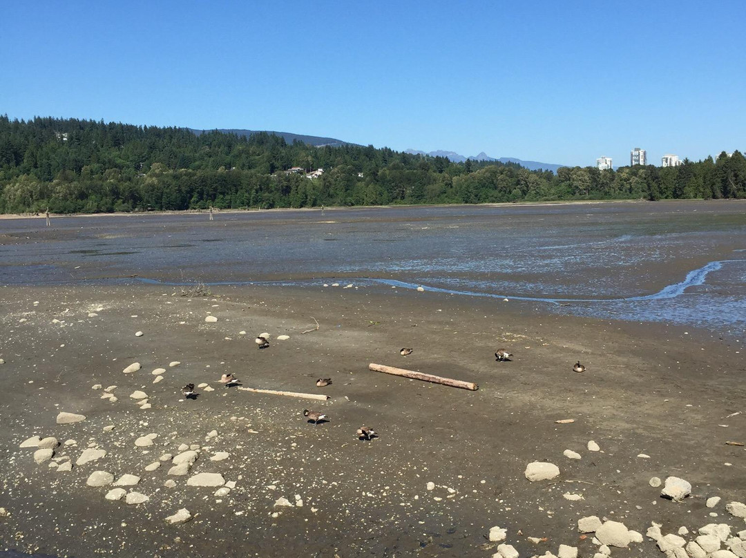 Rocky Point Park-穆迪港必去景点