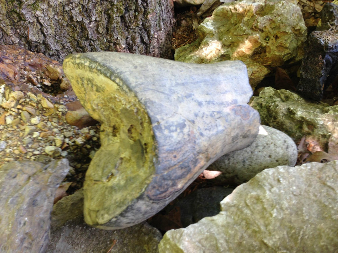 Wichahpi Commemorative Stone Wall景点图片