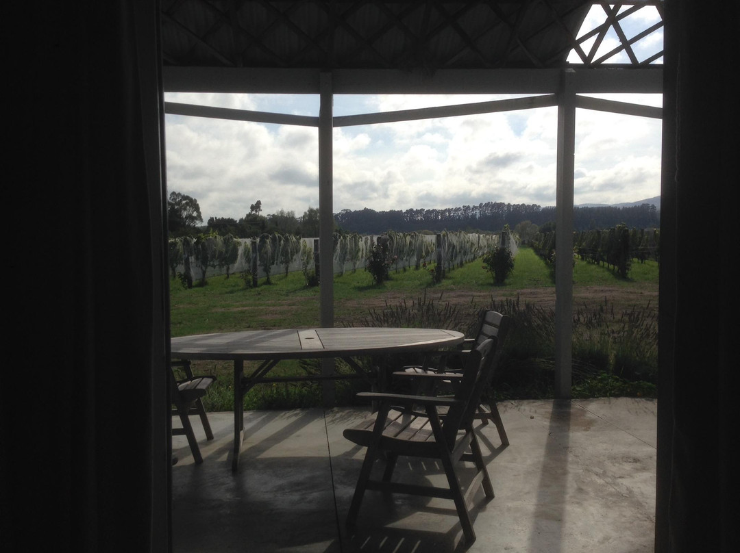 Vynfields-马丁堡必去景点