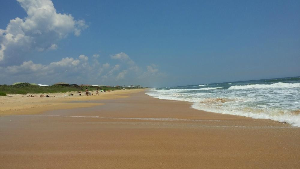 Jungle Hut Park-棕榈海岸必去景点