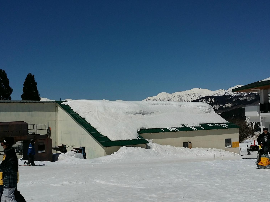 Snow Wave Park Shiratori Kogen-郡上市必去景点