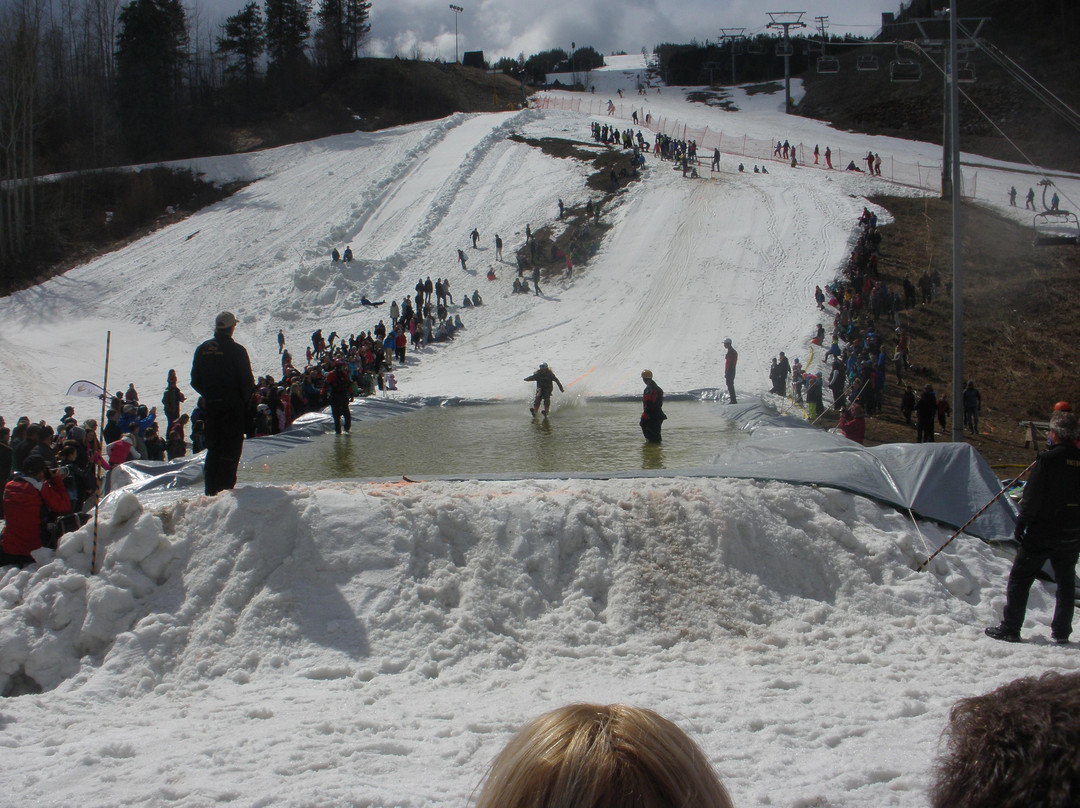 Kimberley Alpine Resort景点图片
