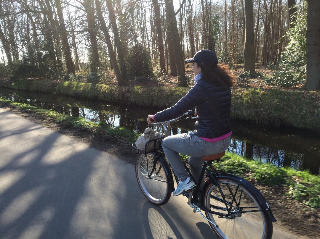 Bizon Bike Company-莱顿必去景点