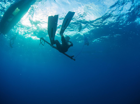 Spearfishing Baja-卡波圣卢卡斯必去景点