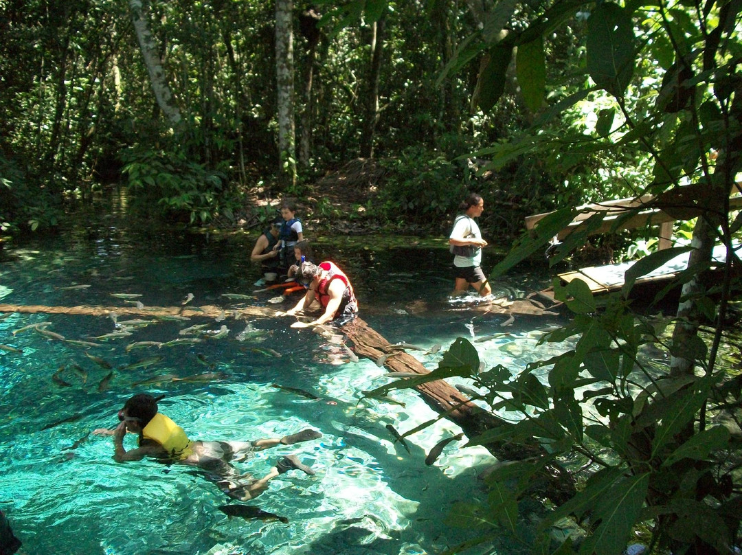Aquário Encantado-诺布里斯必去景点