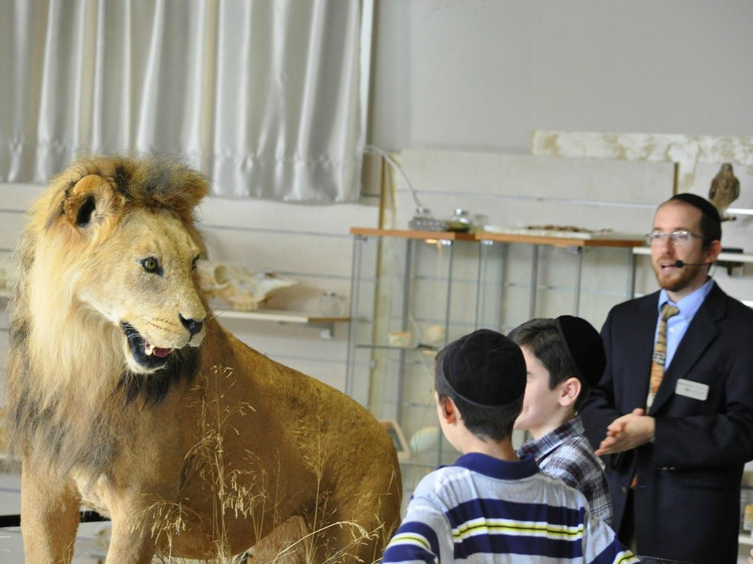 The Biblical Museum of Natural History-Beit Shemesh必去景点