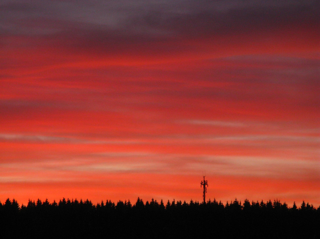 Naturpark Hochtaunus-Oberursel (Taunus)必去景点