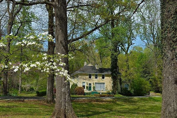 Dogwood Manor Guesthouse-官方