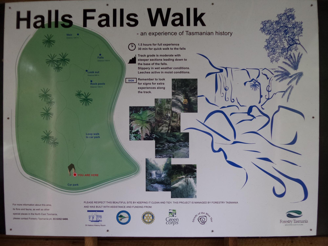 Halls Falls景点图片